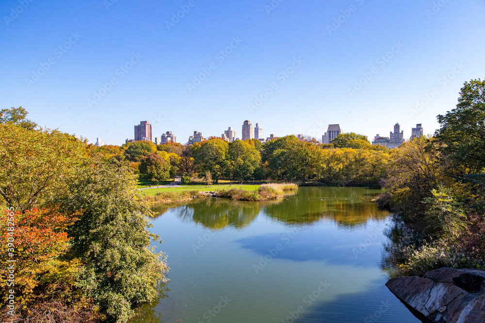 Trees and buildings are seen from Belvedere Castle in Central Park