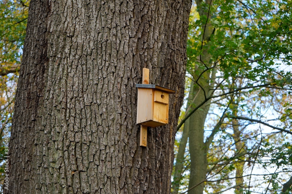 Vogel Nistkasten an einem dicken Baum im Wald, Umweltschutz, Naturschutz, Artenschutz