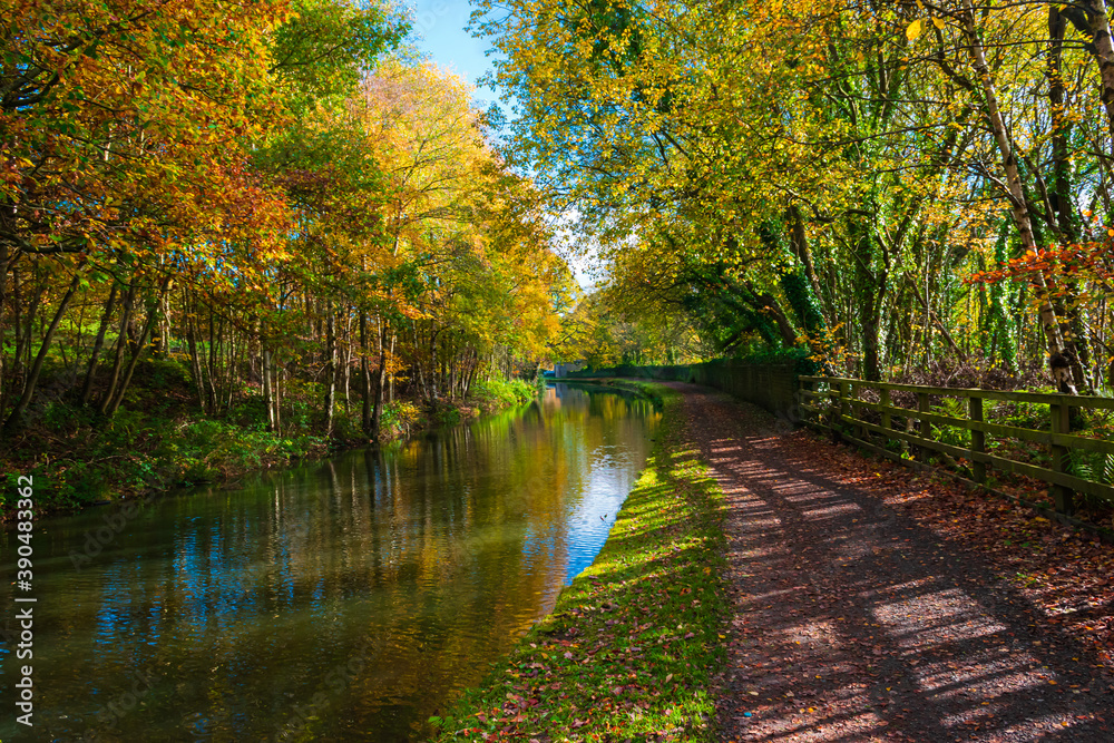 Autumn along the canal