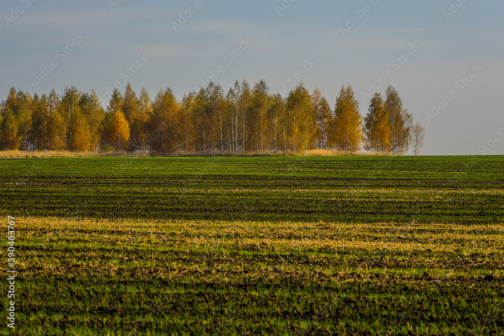 autumn landscape with trees autumn landscape with trees