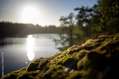 Photography Morning sun over lake