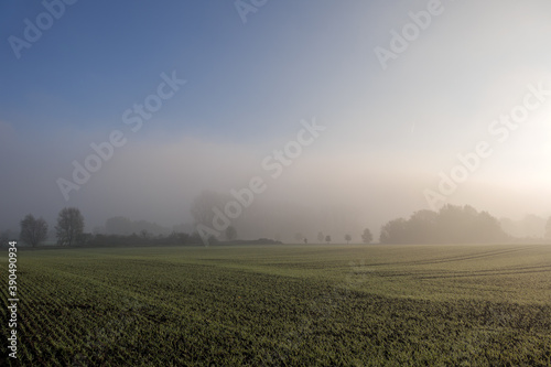 Misty and sunny atmosphere of foggy over agricultural field and on countryside in Germany in the morning.