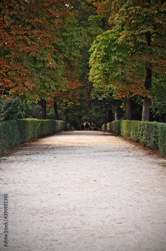 Path in the park in an autumn day