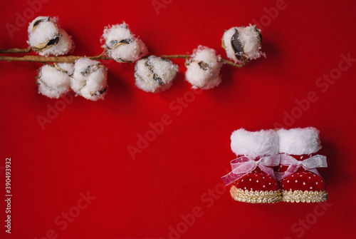 baby christmas boots lie on a red background with a branch of cotton