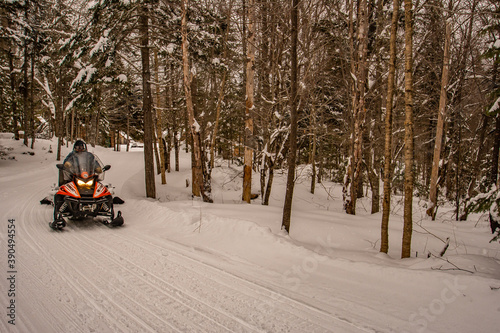 person riding snowmobile in forest