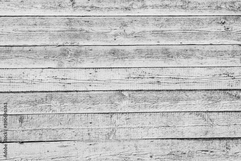 White Wood Planks Background,
Wooden floor, texture or wall old panel White Wood Planks Background,
Wooden floor, texture or wall old panel