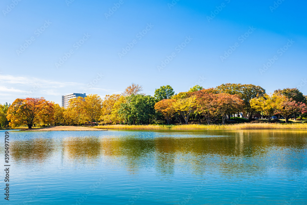 水辺の紅葉