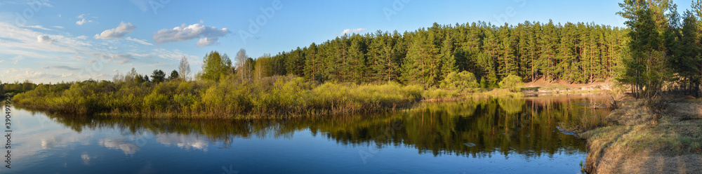 Spring panorama of the protected forest river. Spring panorama of the protected forest river.