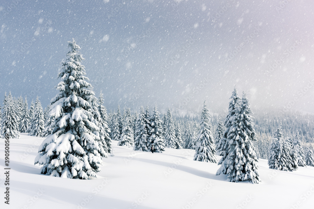 Fantastic winter landscape with snowy trees. Carpathian mountains, Ukraine, Europe. Christmas holiday background. Landscape photography