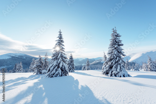 Fantastic winter landscape with snowy trees. Carpathian mountains, Ukraine, Europe. Christmas holiday background. Landscape photography