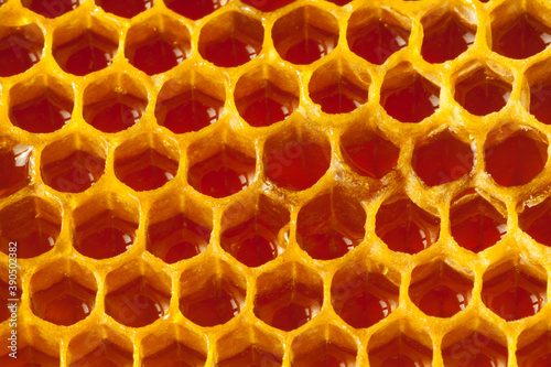 Fresh organic honey - healthy food concept