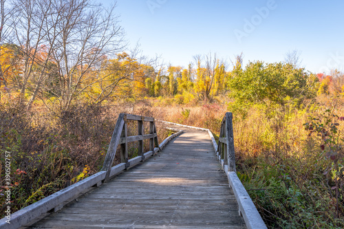 Fototapeta Naklejka Na Ścianę i Meble -  A wooden boardwalk crosses a marsh