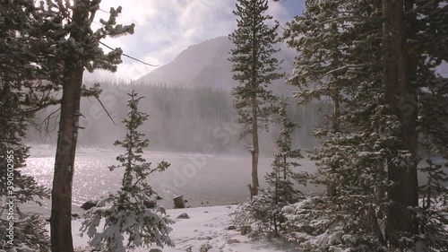 snow covered trees in winter