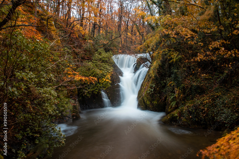 the waters of the waterfall at furnace at long exposure, flowing down the rocky cliff. the autumn colours in the trees