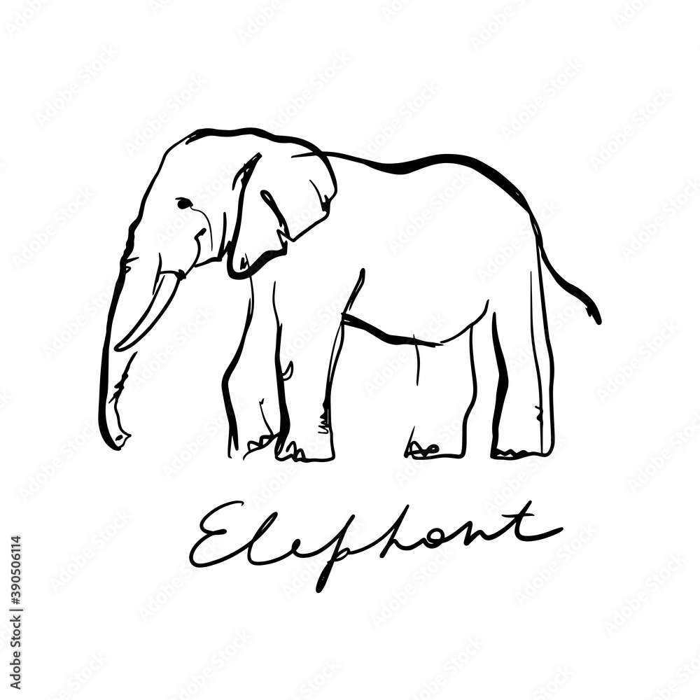 Vector illustration of elephant doodle on white background. Emblem of elephant with type.