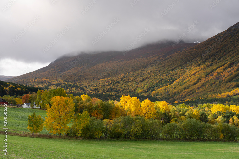 View from Drivdalen, Oppdal, Trondelag, Norway