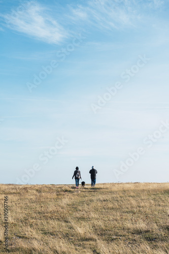 A couple with their dog walking towards the horizon in a field with blue sky