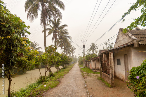 View of paddy field area in the northern part of Vietnam