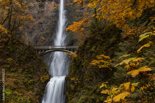 Fototapeta Naklejka Na Ścianę i Meble -  Autumn at Multnomah Falls, Oregon