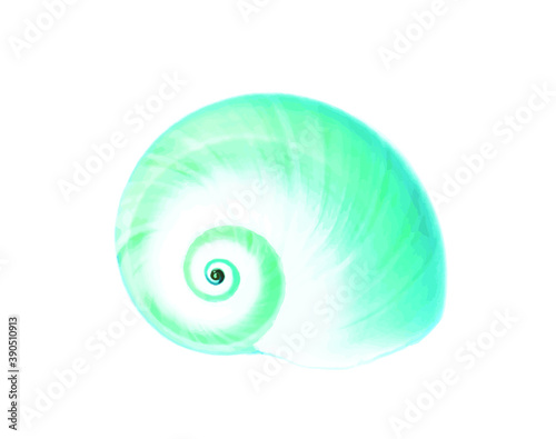 Blue aqua detailed simple sea shell isolated on white