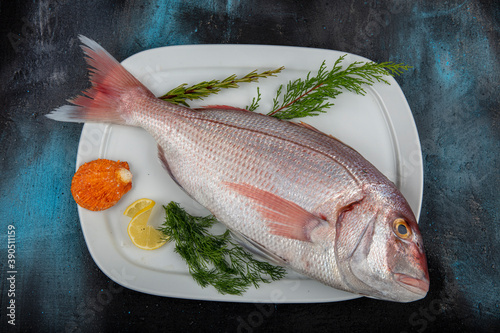 fish on a rustic wooden floor - Common dentex , Pink dentex, Dentex dentex, Dentex gibbosus