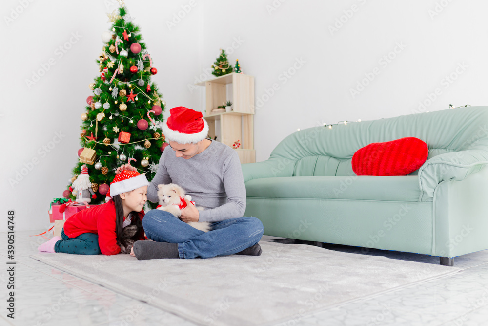 asian children and father playing with shih tzu dog in relax time, they sitting on floor, they feeling happy and smile, child development and family activity, Christmas celebration