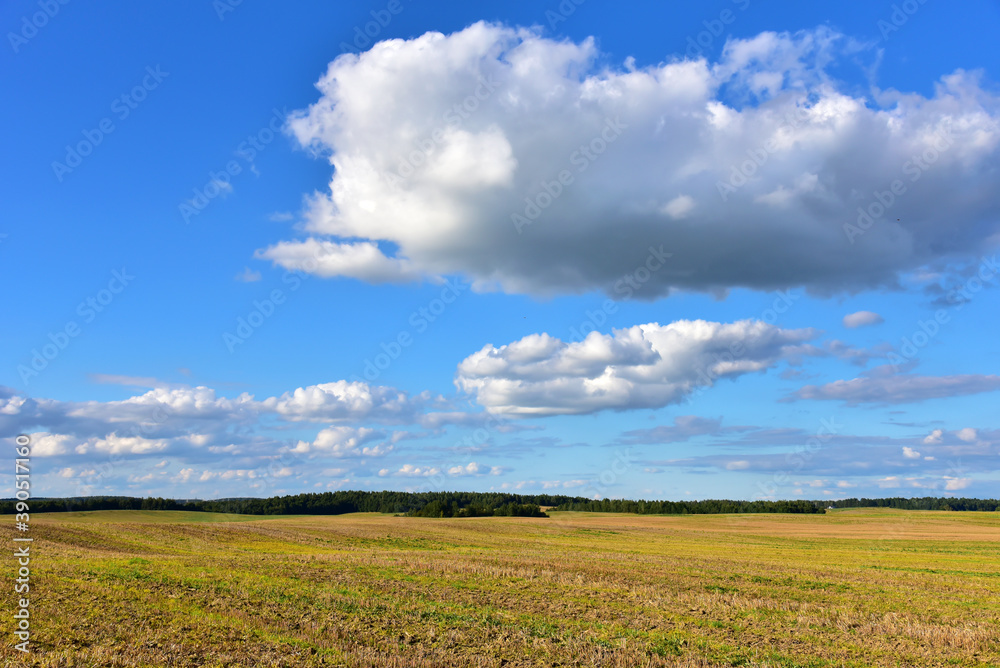 Large white clouds low above the ground against a blue sky