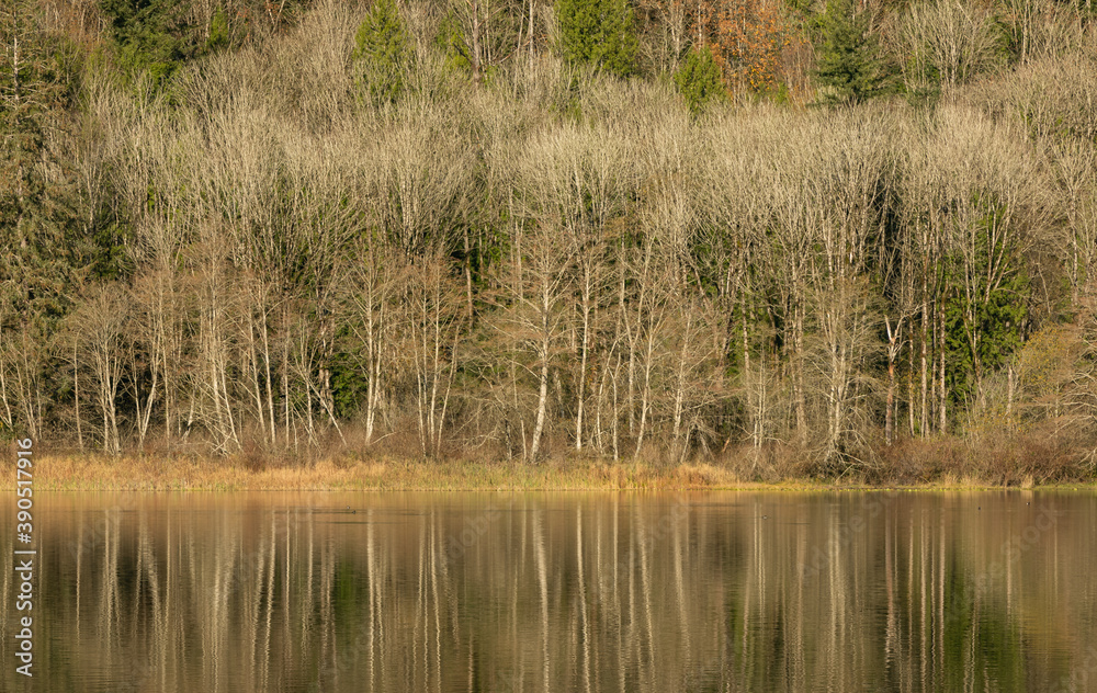 Beautiful autumn landscape of the lake with a yellowing trees and reflection in the lake. Selective focus, travel photo, concept photo autumn in nature. Beautiful autumn landscape of the lake with a yellowing trees and reflection in the lake. Selective focus, travel photo, concept photo autumn in nature.