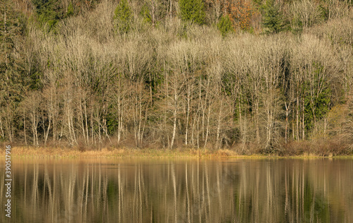 Beautiful autumn landscape of the lake with a yellowing trees and reflection in the lake. Selective focus, travel photo, concept photo autumn in nature.