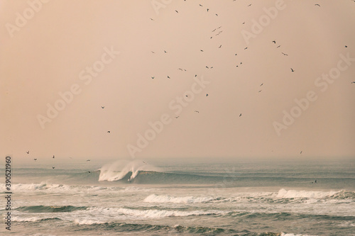 Photography Big Waves Breaks in Northern California near San Francisco