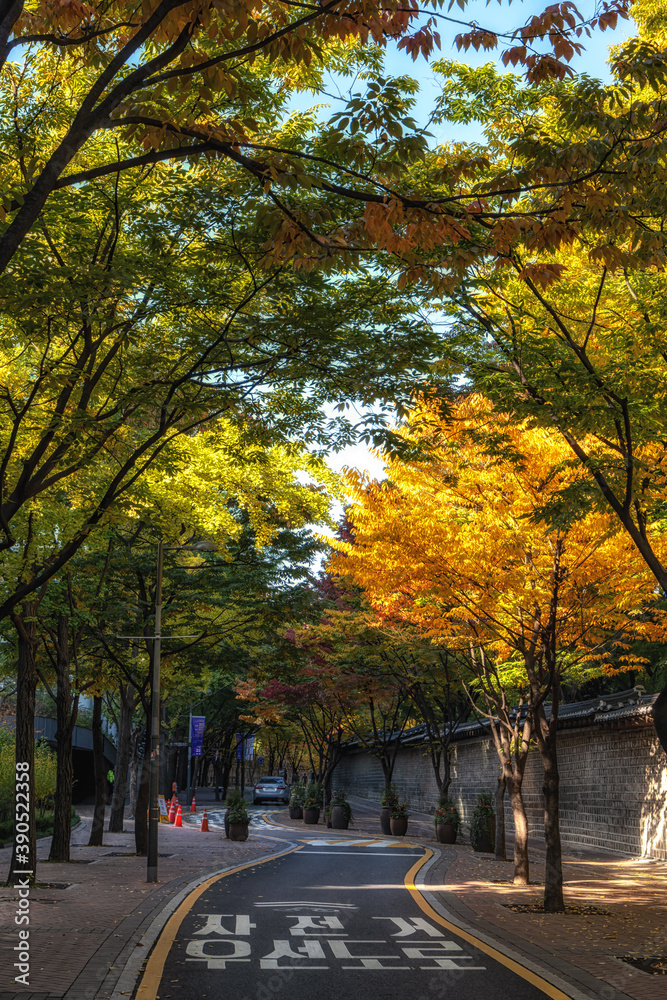 Deoksugung doldam gil road