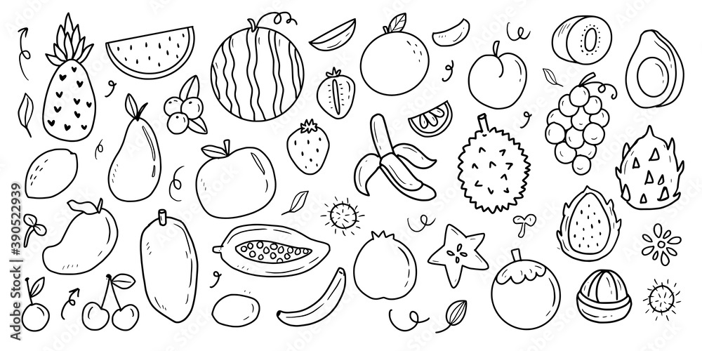 Tropical fruit big set drawing collection vector icon