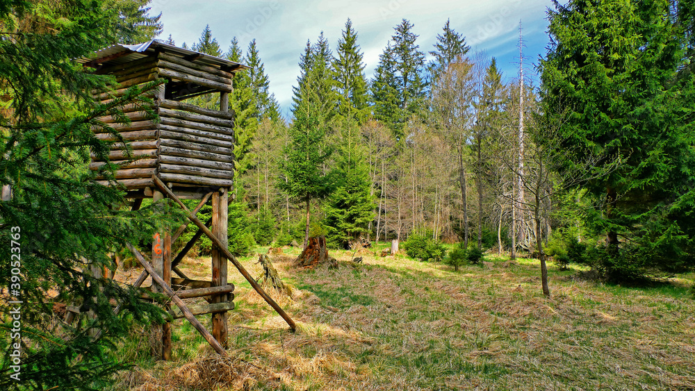 Harzlandschaft Harzlandschaft