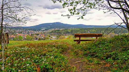 Harzblick Braunlage