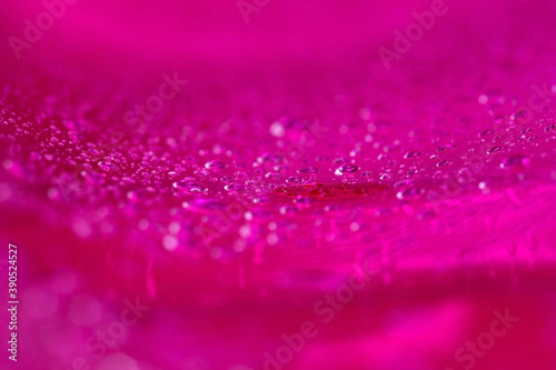 赤紫色に光り輝く水滴