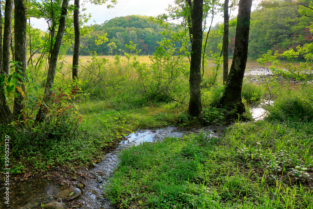 Obraz premium 矢ノ原湿原 代官清水