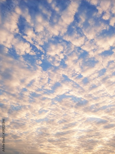 秋の朝空　鱗雲　背景イメージ
