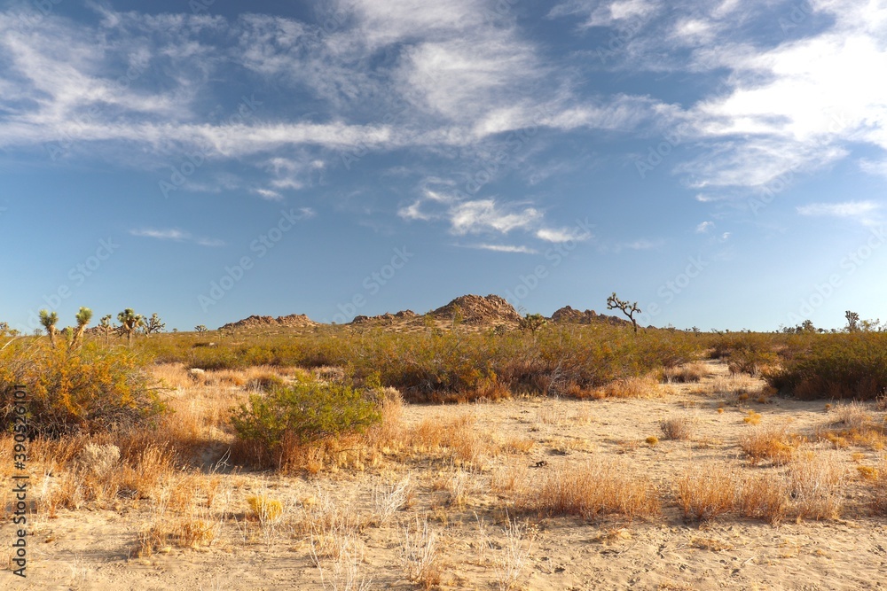 Desert landscape in Southern California Desert landscape in Southern California