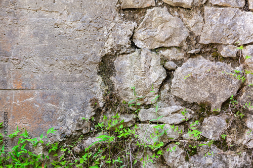 The old cobblestone wall is covered with plants, used as a background or texture