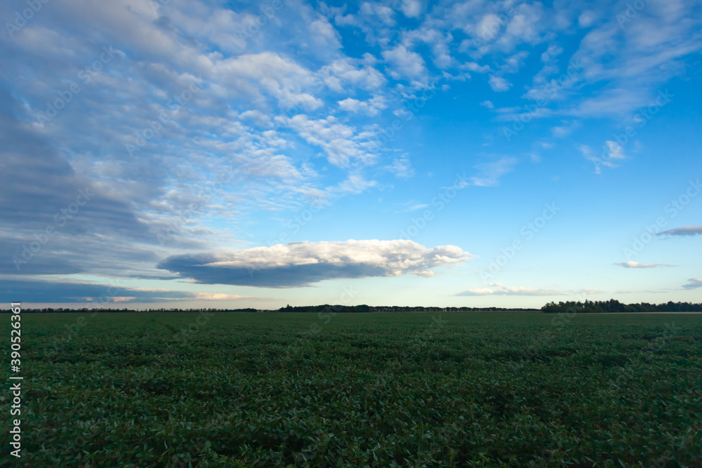 blue it with white clouds over the green field, used as a background or texture with blurry background, soft focus
