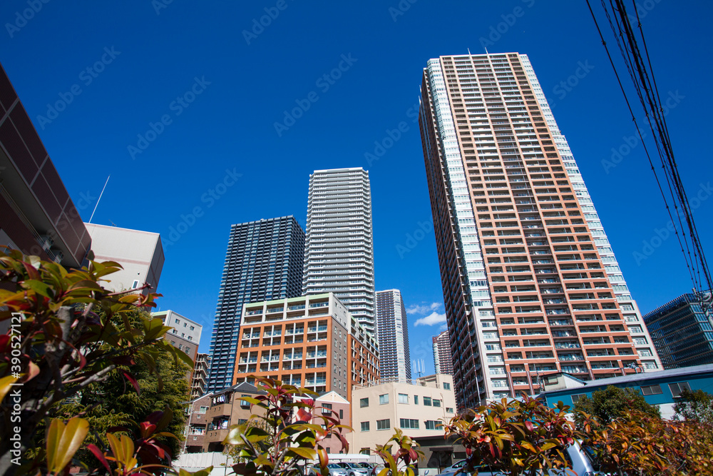 Obraz premium 武蔵小杉の高層マンション群