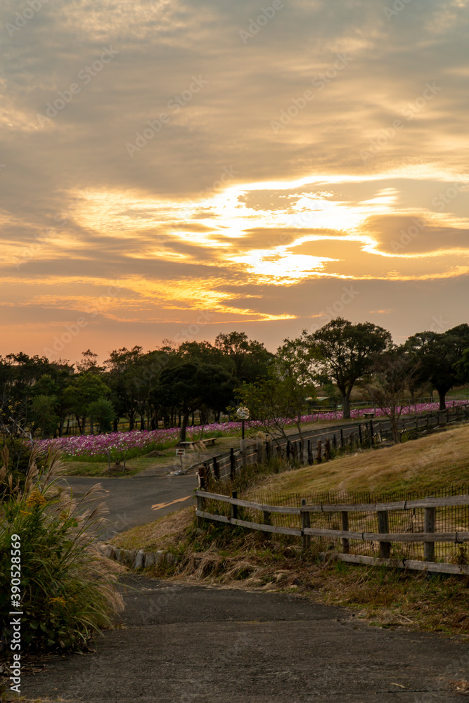長崎県長崎市　あぐりの丘の風景