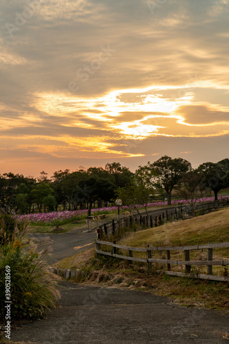 長崎県長崎市 あぐりの丘の風景