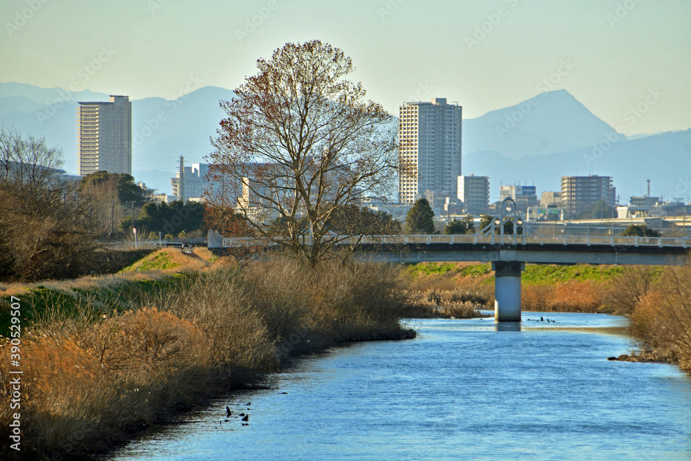 見沼田圃・芝川の流れ Stock Photo Adobe Stock