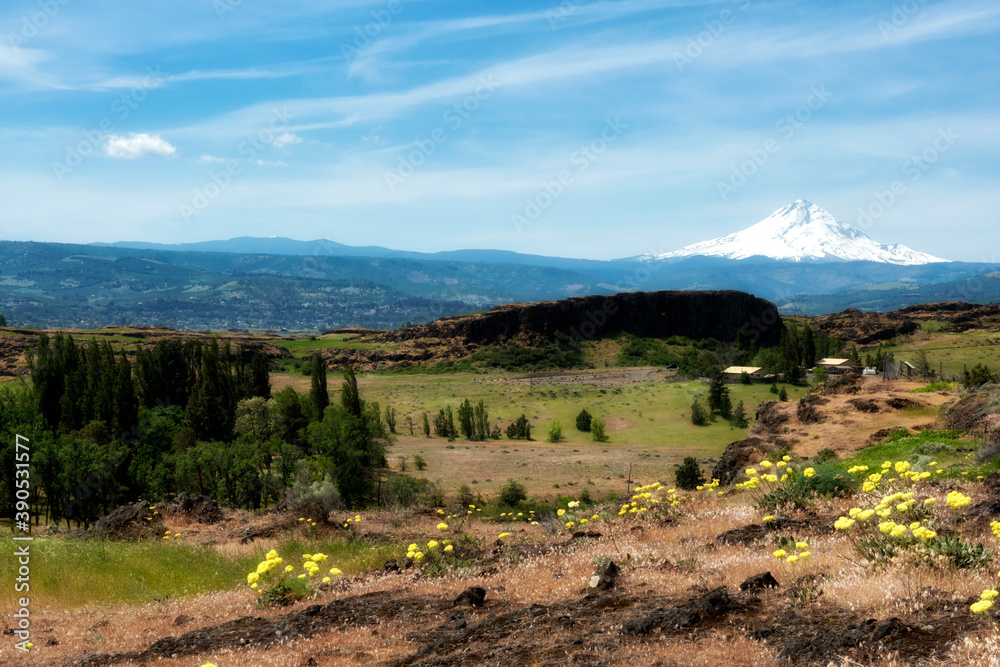 Mount Hood from the Washington Side of the Columbia Gorge