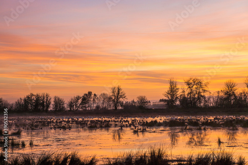 An intense orange sky at sunrise reflects on the surface of wetlands with distant water fowl visible.