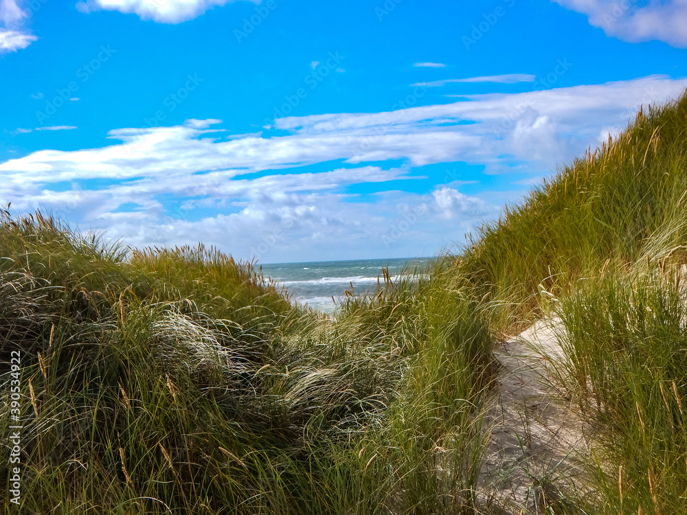 sand dunes on the beach sand dunes on the beach