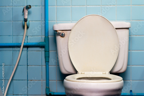 Picture of the toilet in the toilet that is a breeding ground for pathogens if not properly maintained.