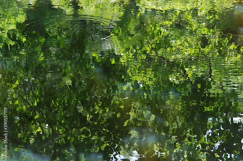 water reflection 