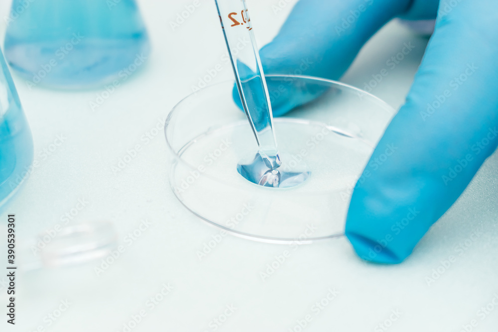 Close up of process of pipetting blue liquid from a flask into a Petri dish.Concept of chemical technology, biotechnology, pharmaceuticals.Selective focus with shallow depth of field, copy space
Close up of process of pipetting blue liquid from a flask into a Petri dish.Concept of chemical technology, biotechnology, pharmaceuticals.Selective focus with shallow depth of field, copy space